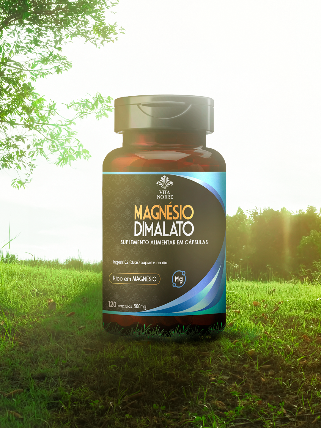 combo-vitalidade-dimalato