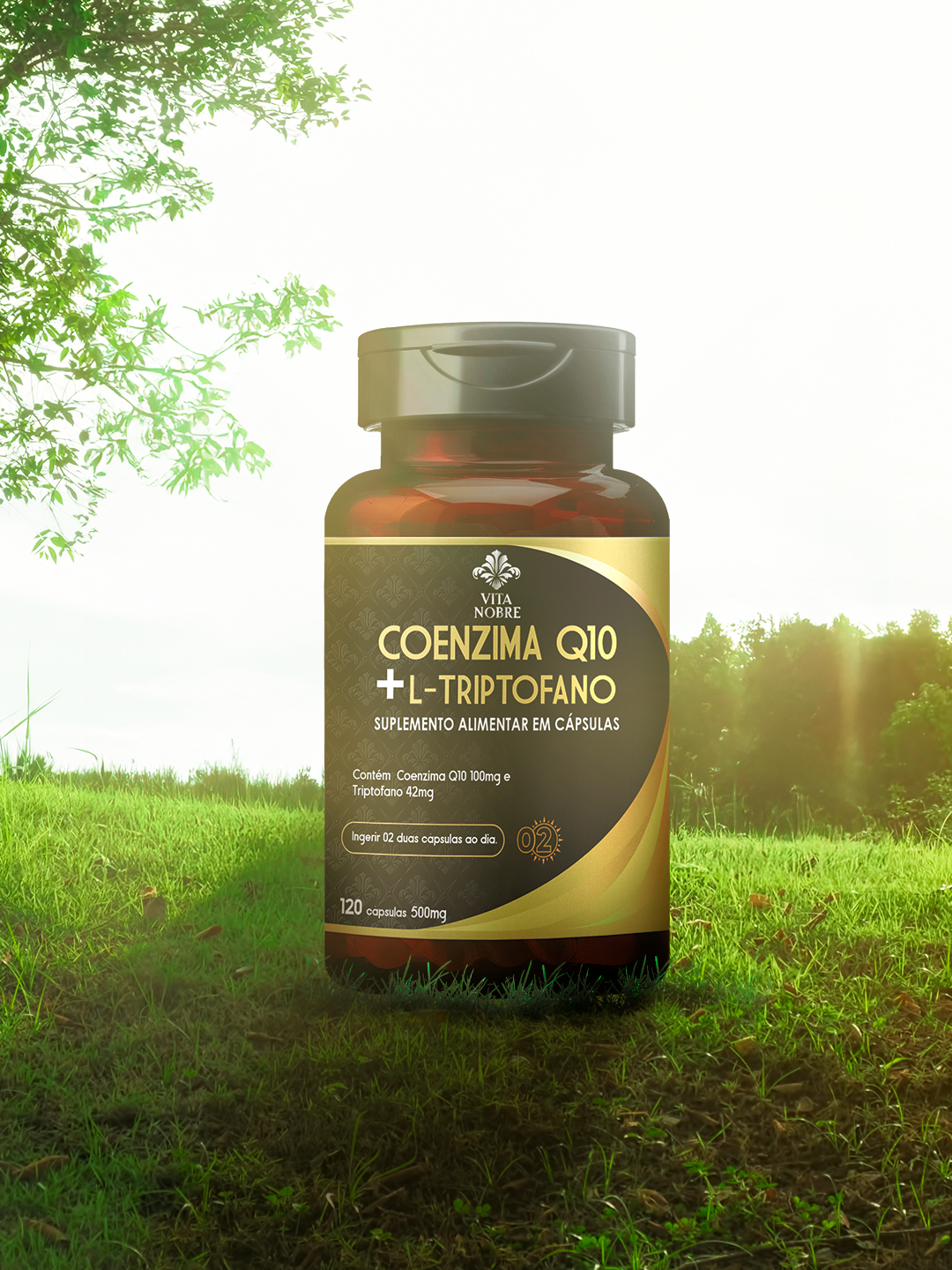 combo-vitalidade-q10